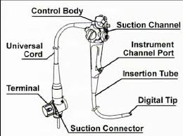 Structure of flexible endoscopes